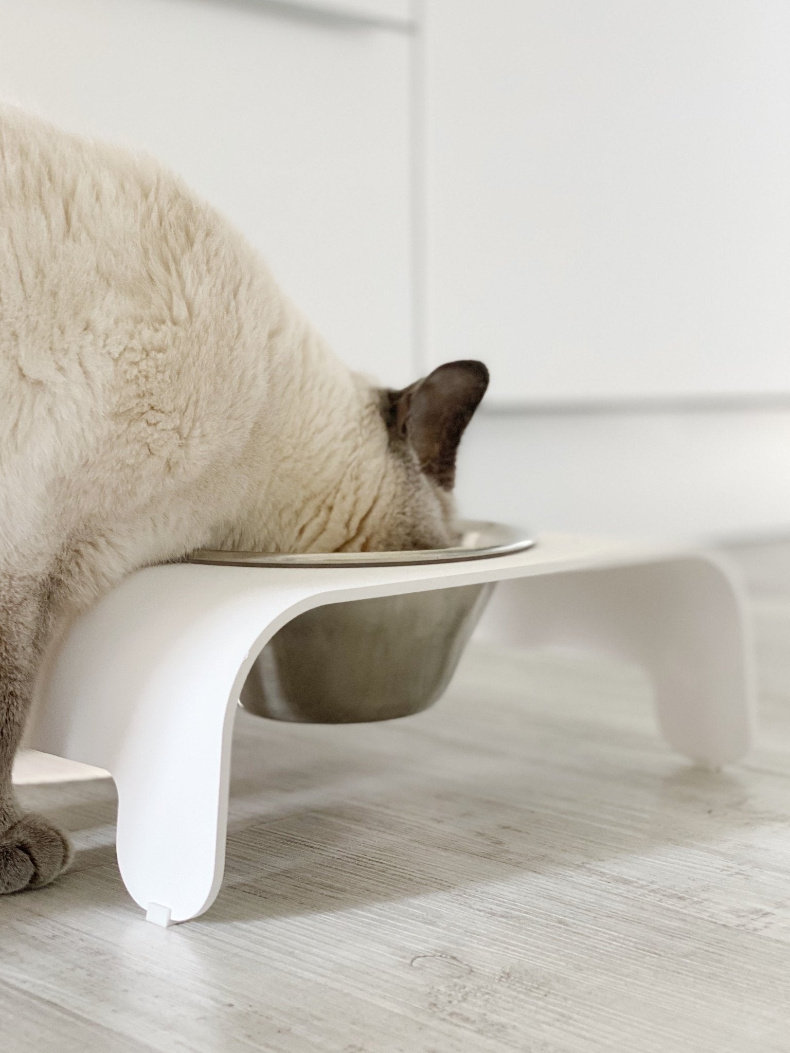 Rico | Double gamelle design pour chat - Jean - Poil - Mokka