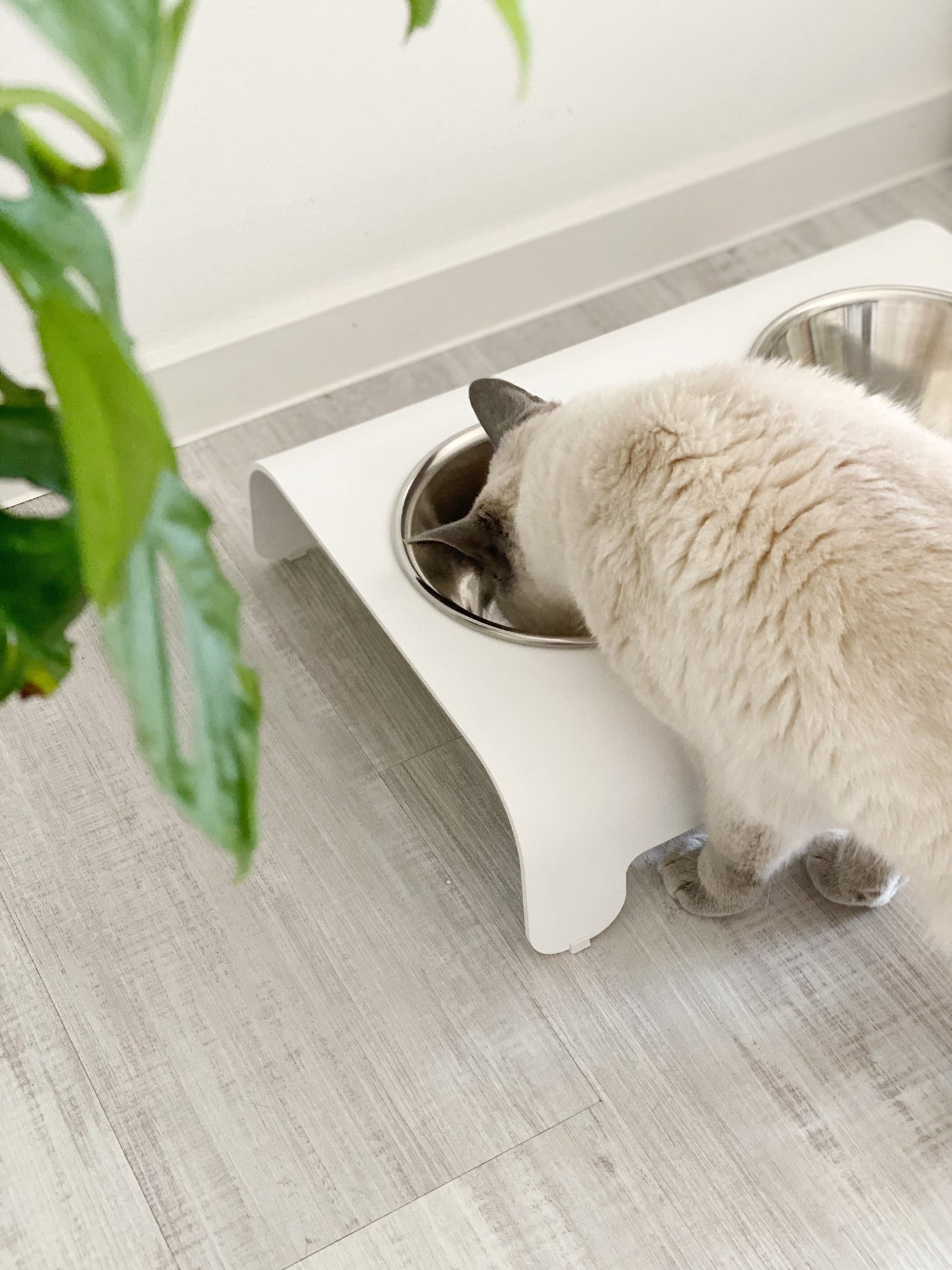Rico | Double gamelle design pour chat - Jean - Poil - Mokka