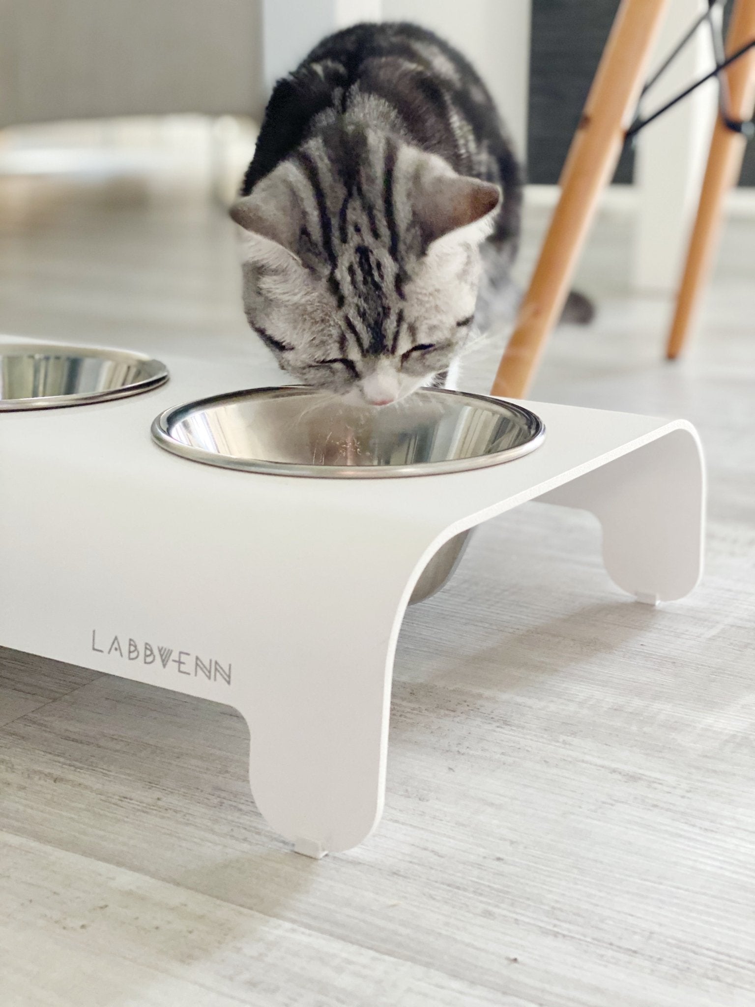 Rico | Double gamelle design pour chat - Jean - Poil - Mokka