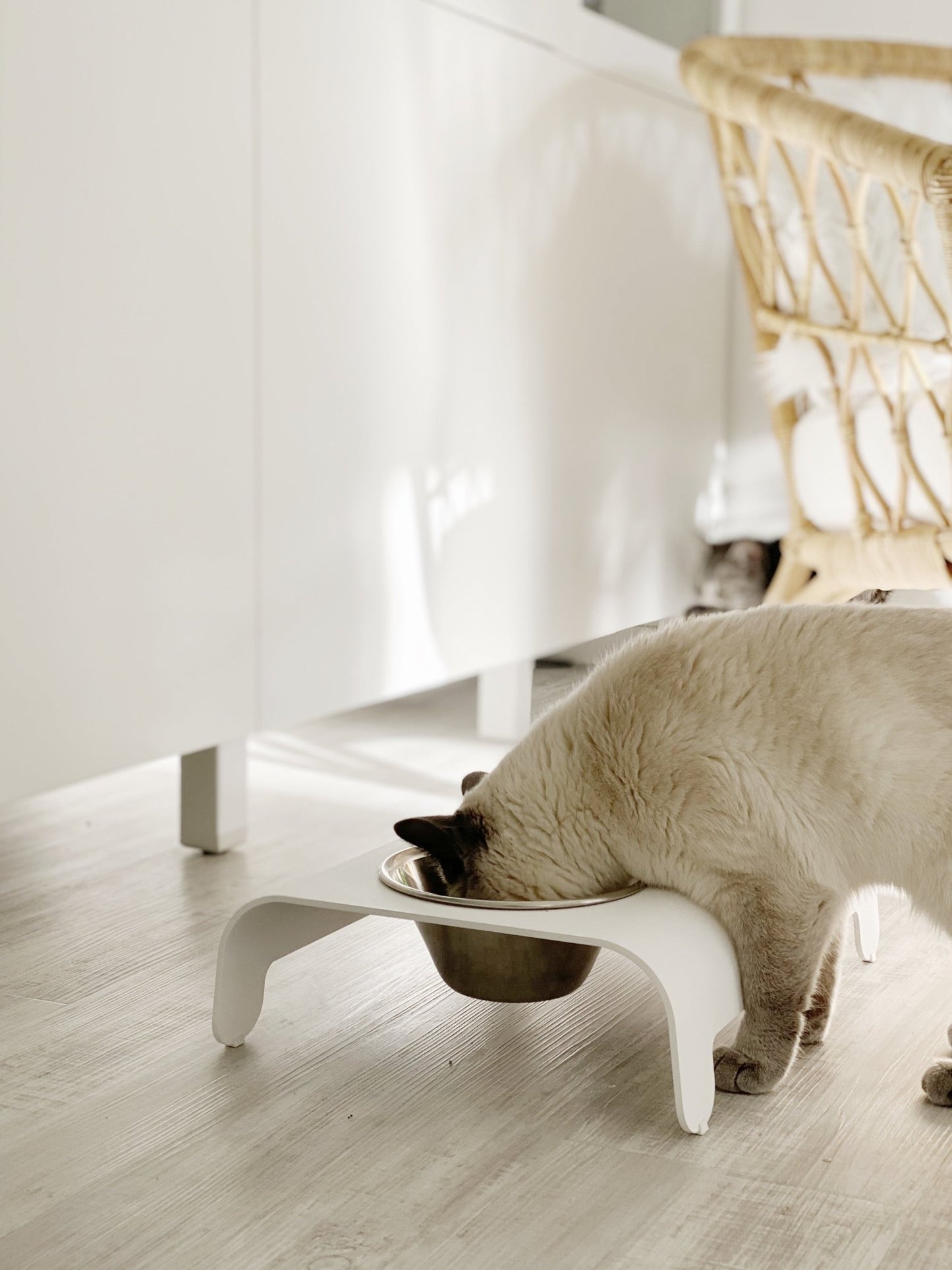Rico | Double gamelle design pour chat - Jean - Poil - Mokka