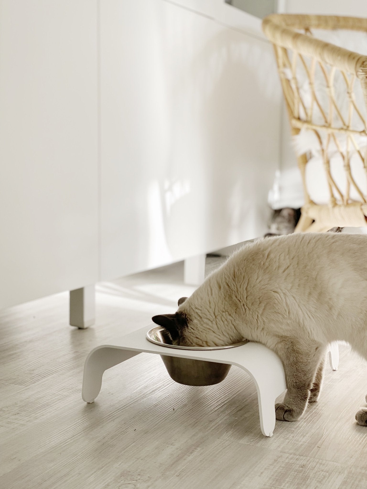 Rico | Double gamelle design pour chat - Jean - Poil - Mokka
