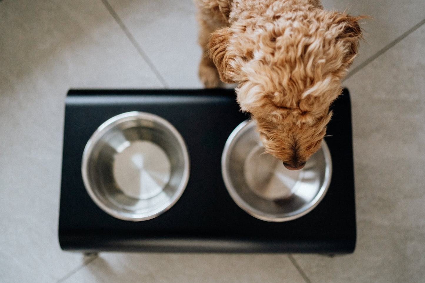 Rico | Double gamelle design pour chien - Jean - Poil - Gris