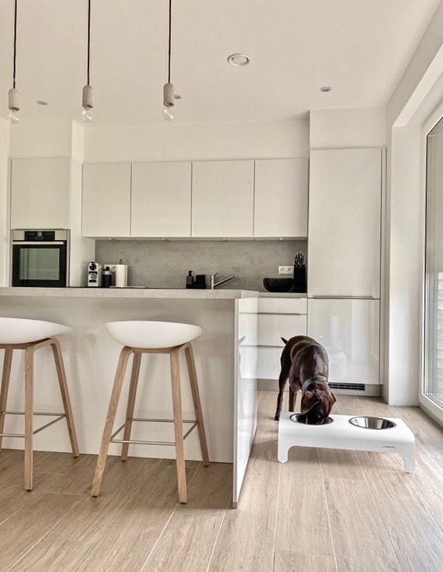 Rico | Double gamelle design pour chien - Jean - Poil - Gris