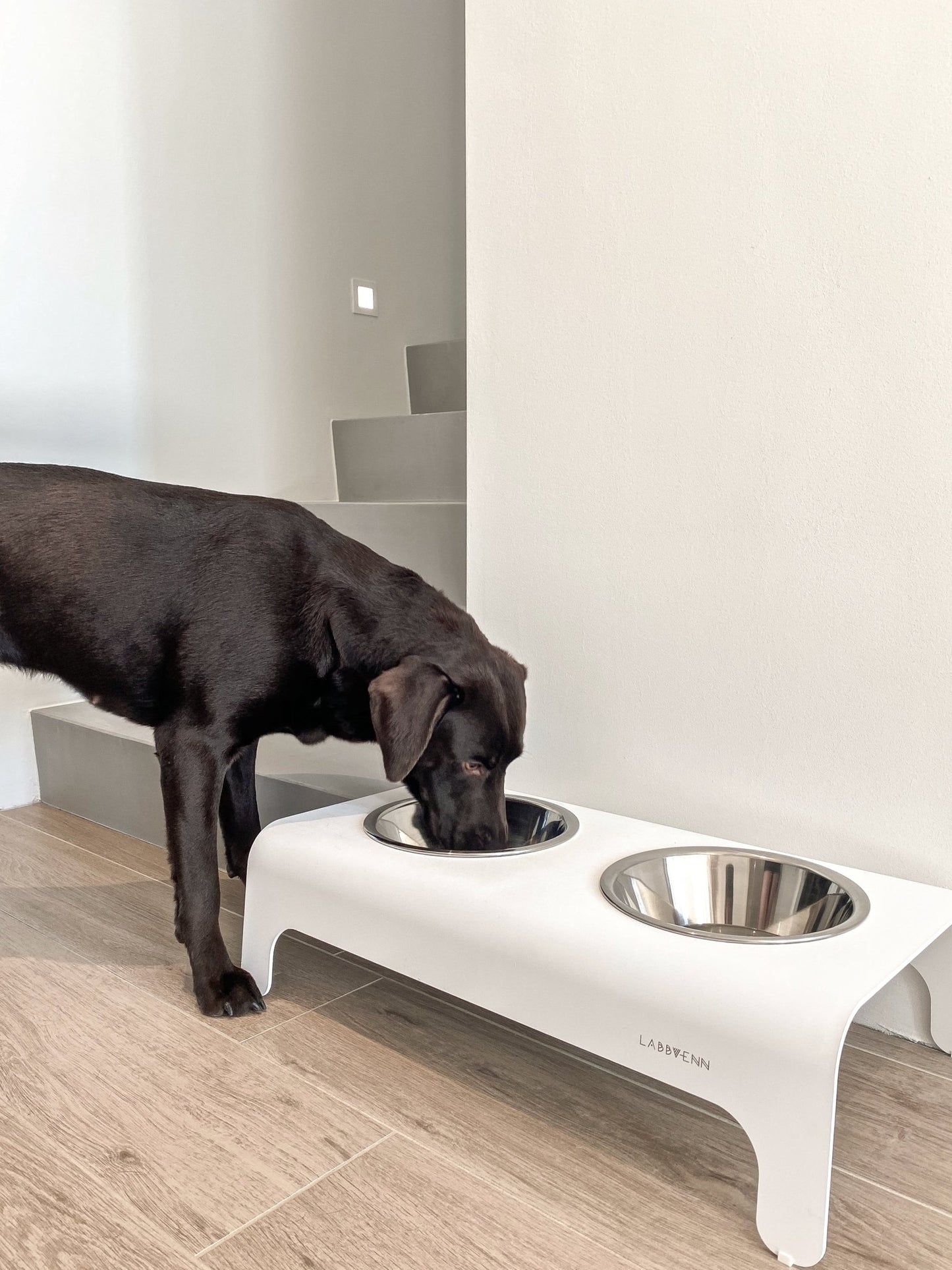 Rico | Double gamelle design pour chien - Jean - Poil - Gris