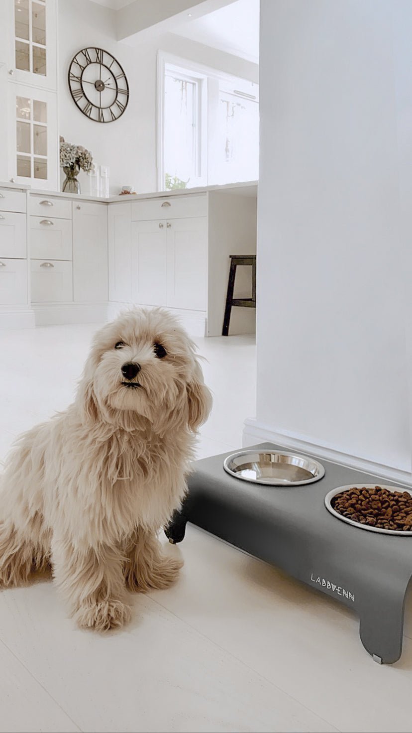 Rico | Double gamelle design pour chien - Jean - Poil - Gris