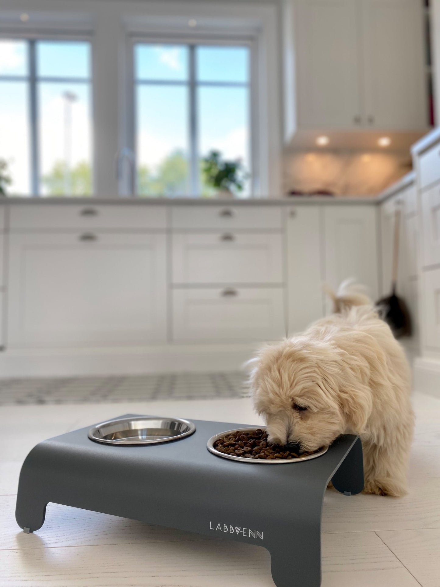 Rico | Double gamelle design pour chien - Jean - Poil - Gris