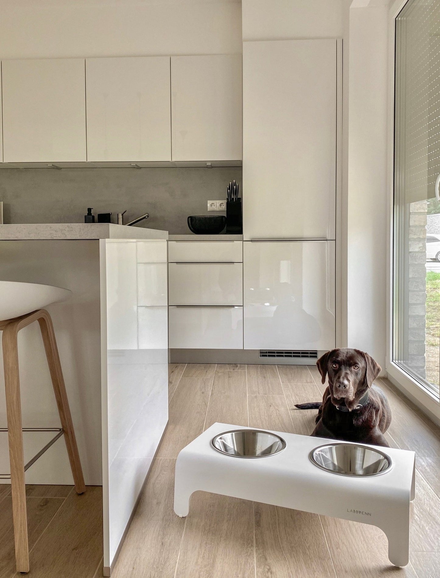 Rico | Double gamelle design pour chien - Jean - Poil - Gris