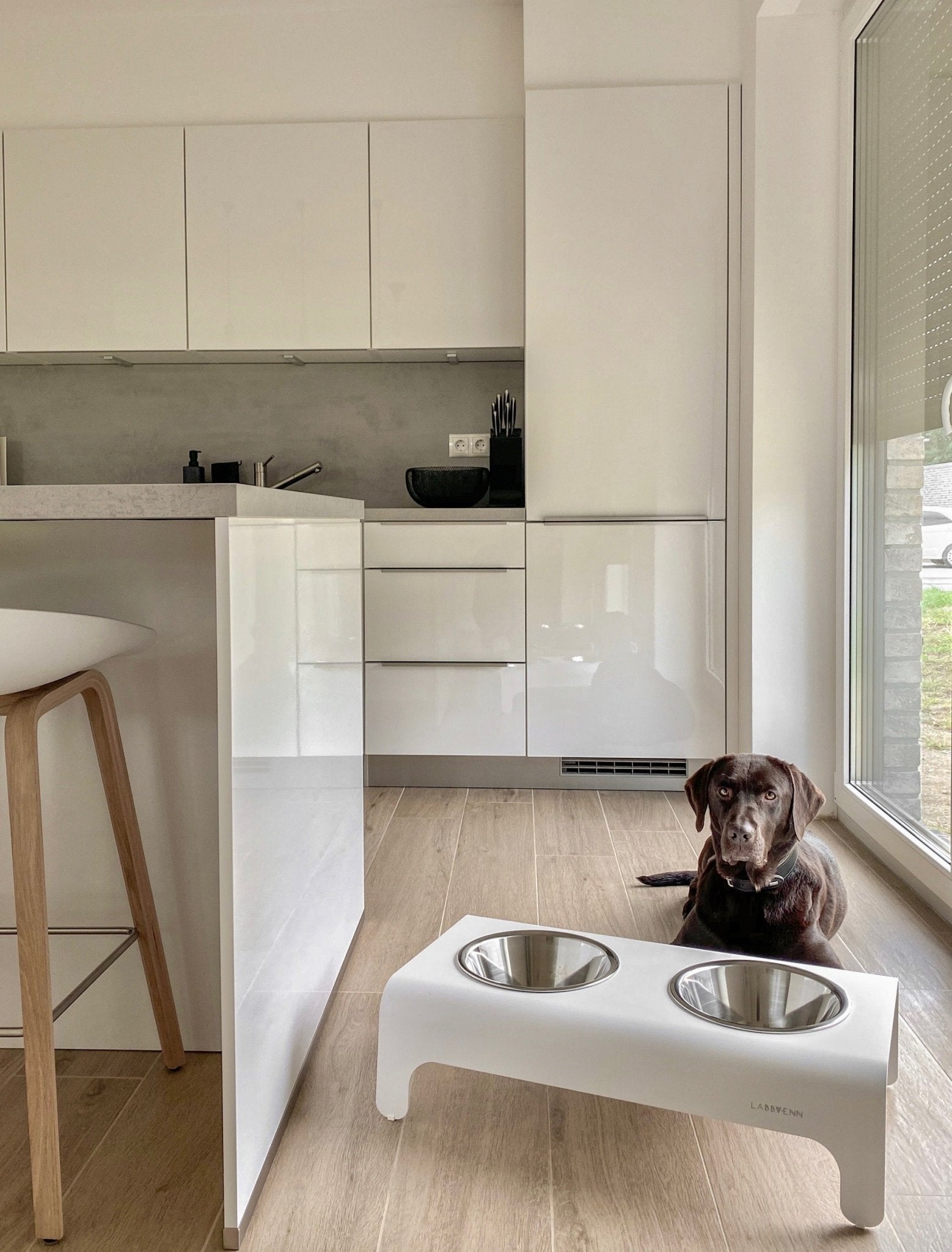 Rico | Double gamelle design pour chien - Jean - Poil - Gris