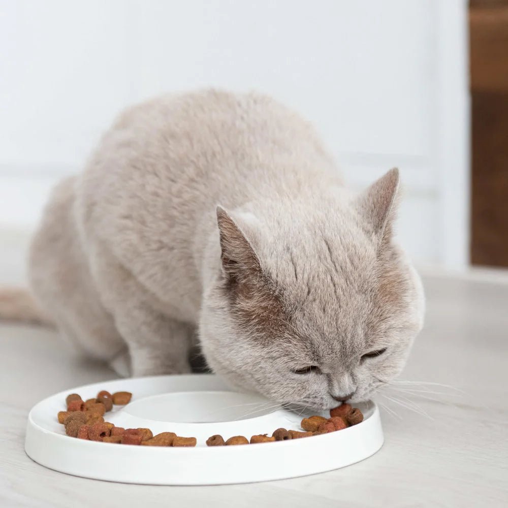 Ring | Gamelle anti glouton en porcelaine pour chat - Jean - Poil - Gris