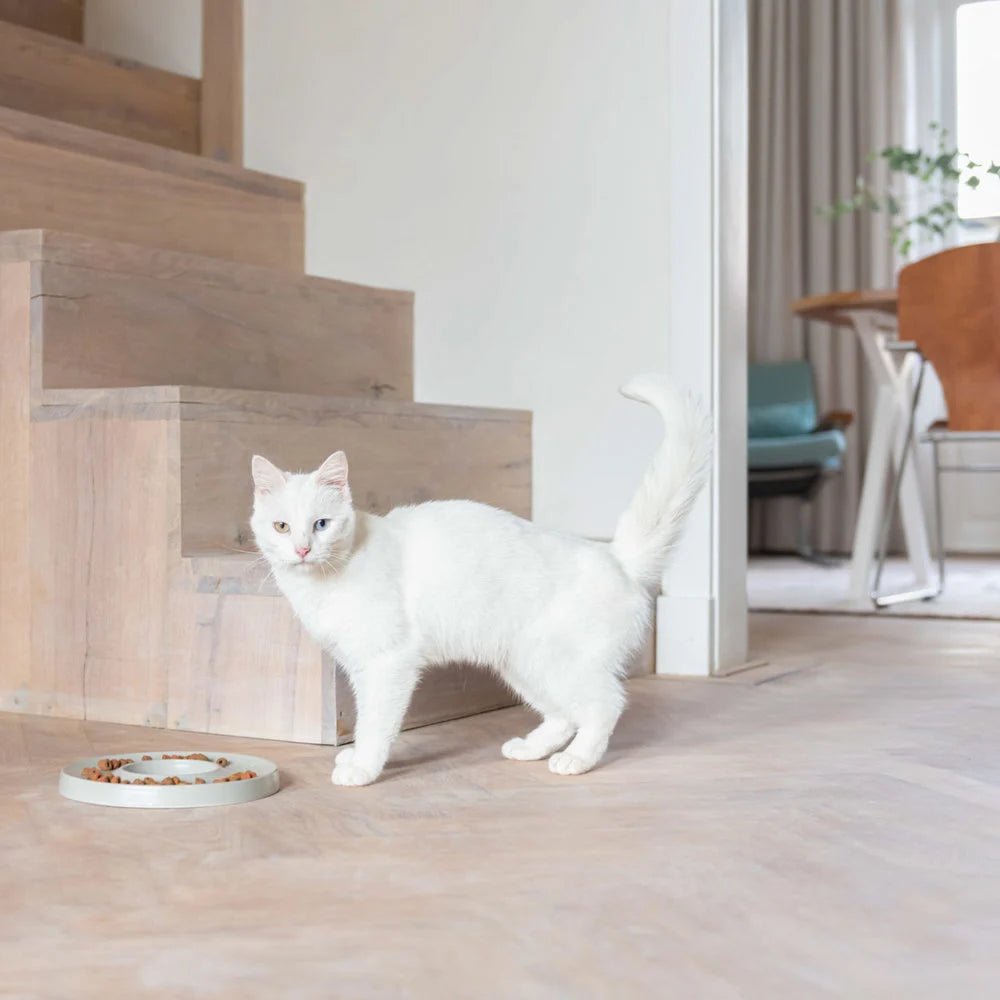Ring | Gamelle anti glouton en porcelaine pour chat - Jean - Poil - Gris