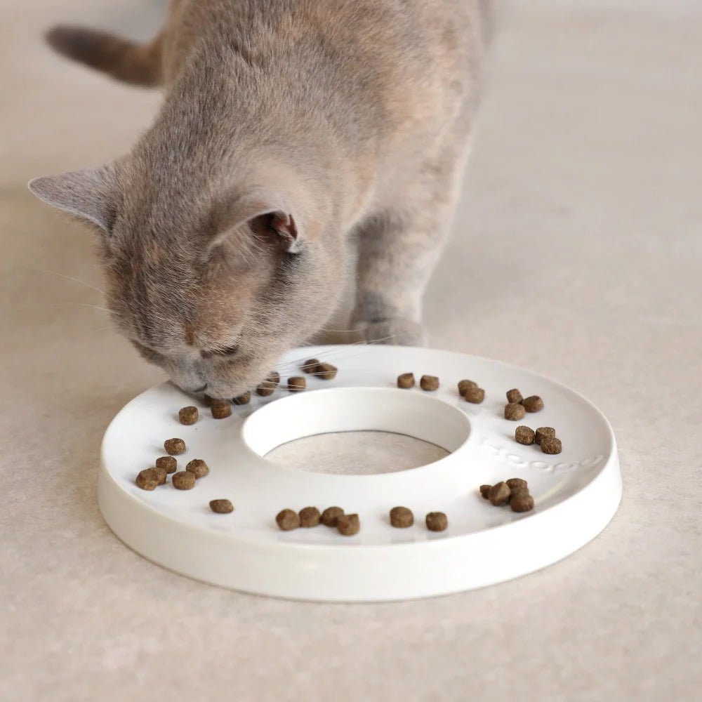 Ring | Gamelle anti glouton en porcelaine pour chat - Jean - Poil - Gris