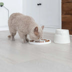 Ring | Gamelle anti glouton en porcelaine pour chat - Jean - Poil - Gris