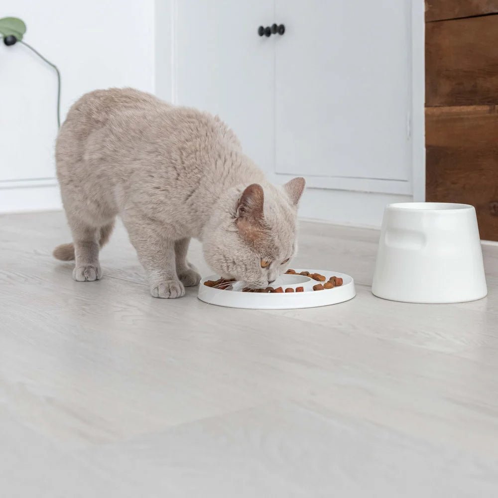 Ring | Gamelle anti glouton en porcelaine pour chat - Jean - Poil - Gris