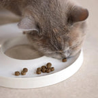 Ring | Gamelle anti glouton en porcelaine pour chat - Jean - Poil - Gris