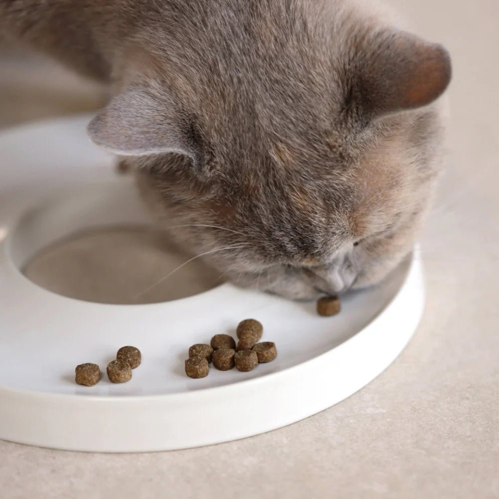 Ring | Gamelle anti glouton en porcelaine pour chat - Jean - Poil - Gris