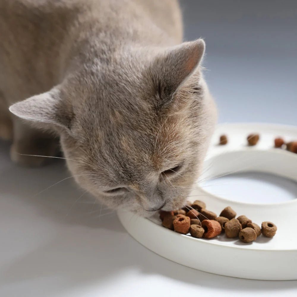 Ring | Gamelle anti glouton en porcelaine pour chat - Jean - Poil - Gris