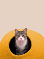 Risa | Grotte pour chat en feutre de laine naturelle- Jaune moutarde - Jean-Poil -