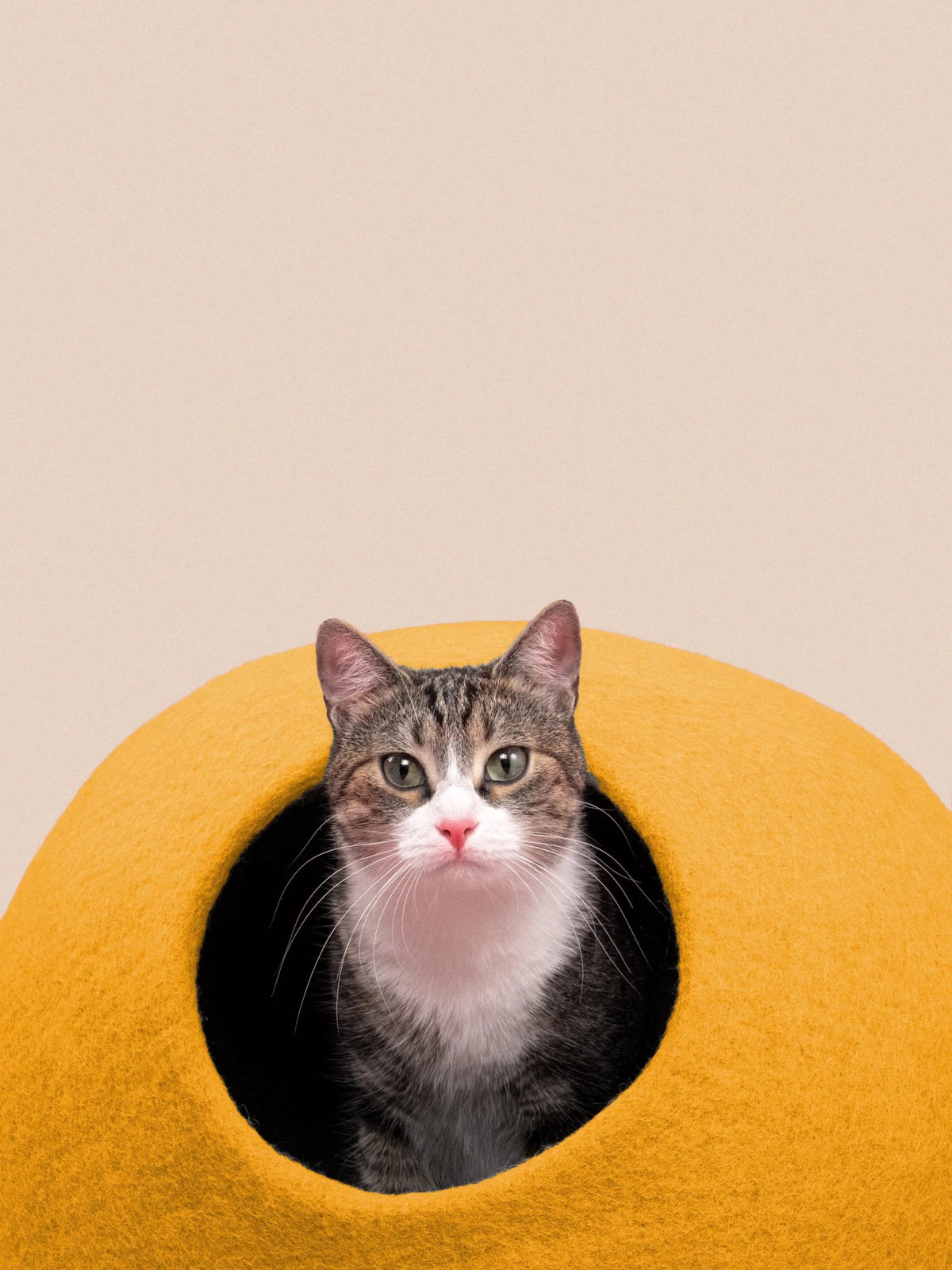 Risa | Grotte pour chat en feutre de laine naturelle- Jaune moutarde - Jean-Poil -