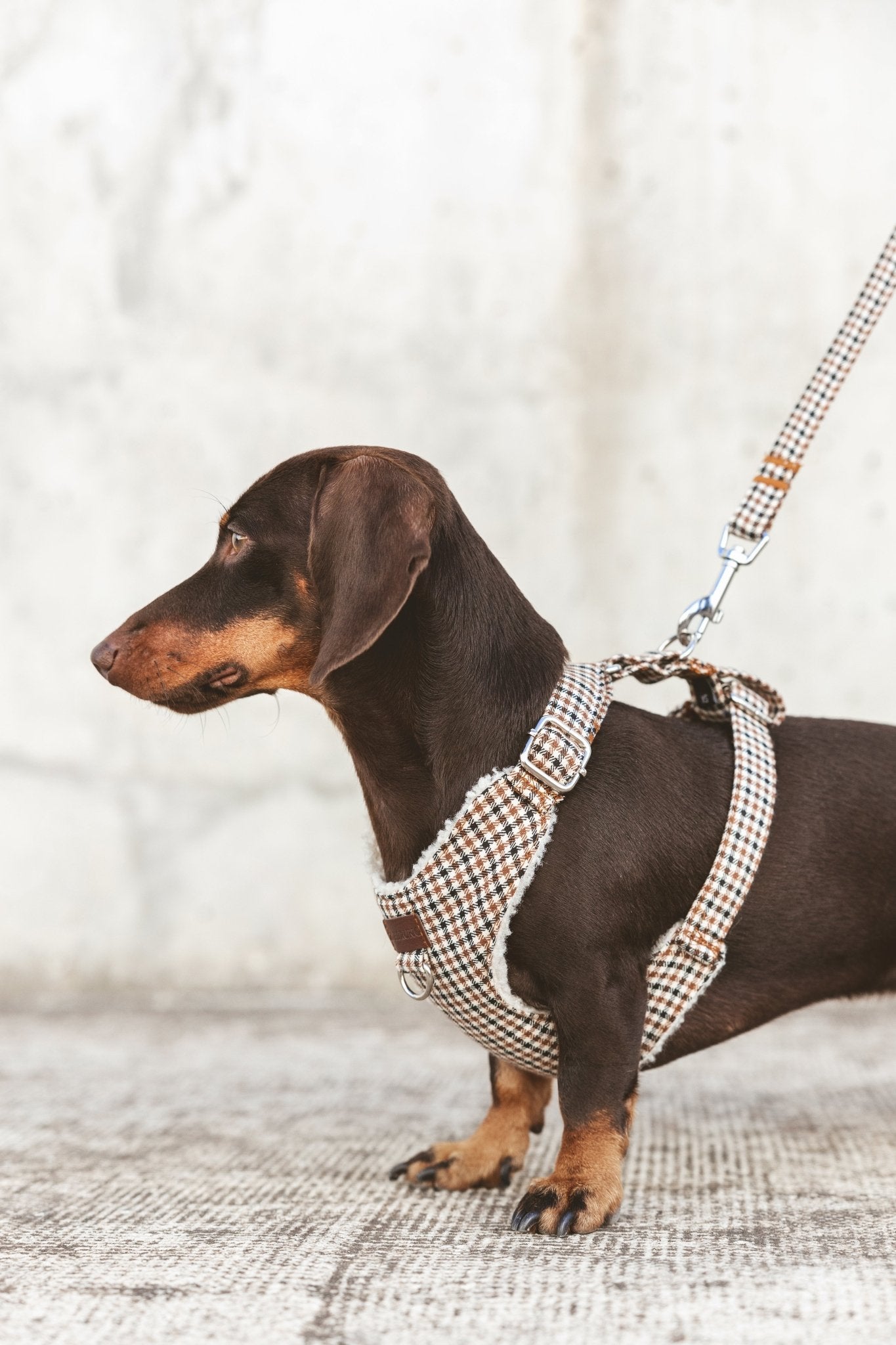 Roméo | Harnais Chest pour chien, motif pied de poule marron,fait main - Jean - Poil - XS