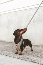 Roméo | Harnais Chest pour chien, motif pied de poule marron,fait main - Jean - Poil - XS