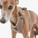Roméo | Harnais Chest pour chien, motif pied de poule marron,fait main - Jean - Poil - XS