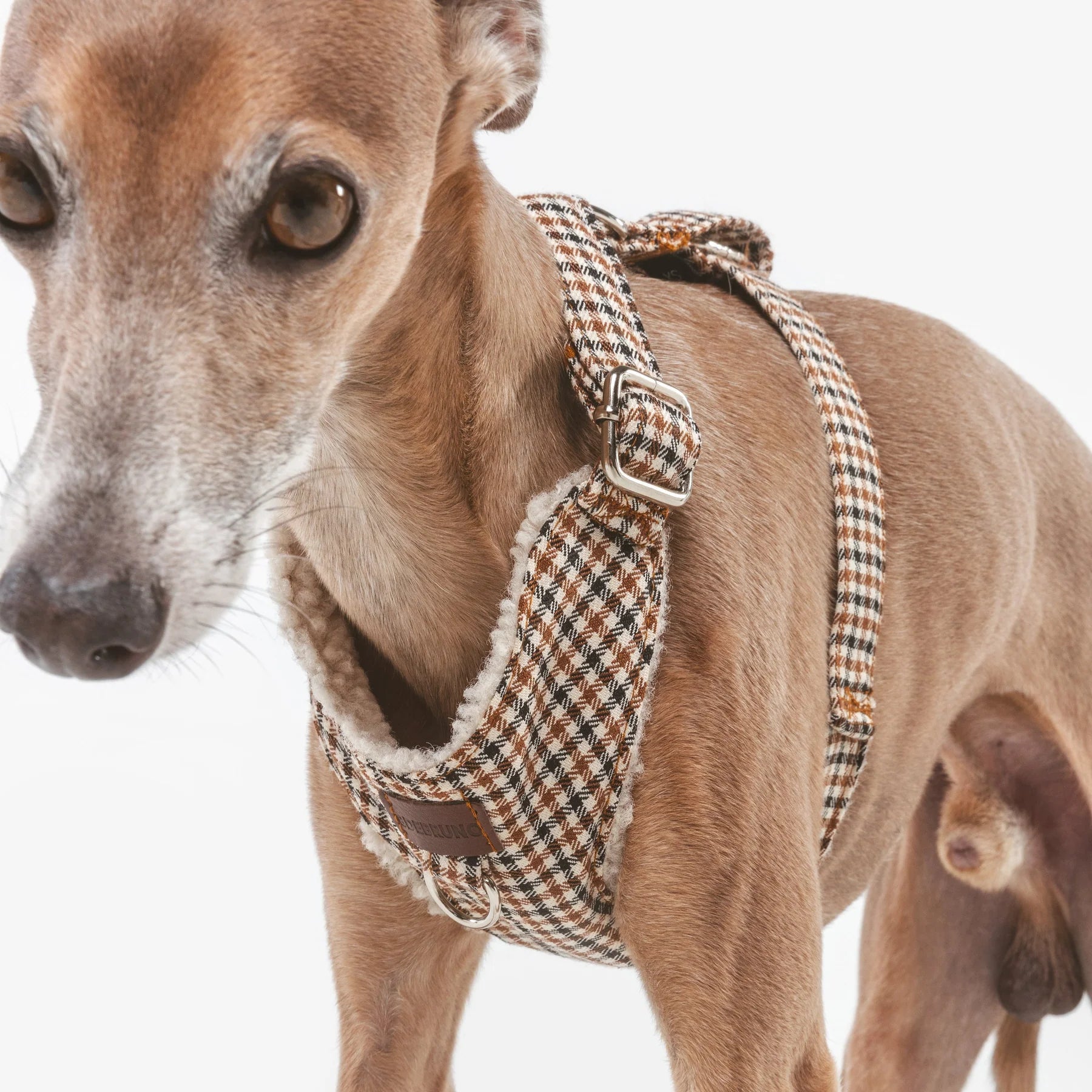 Roméo | Harnais Chest pour chien, motif pied de poule marron,fait main - Jean - Poil - XS