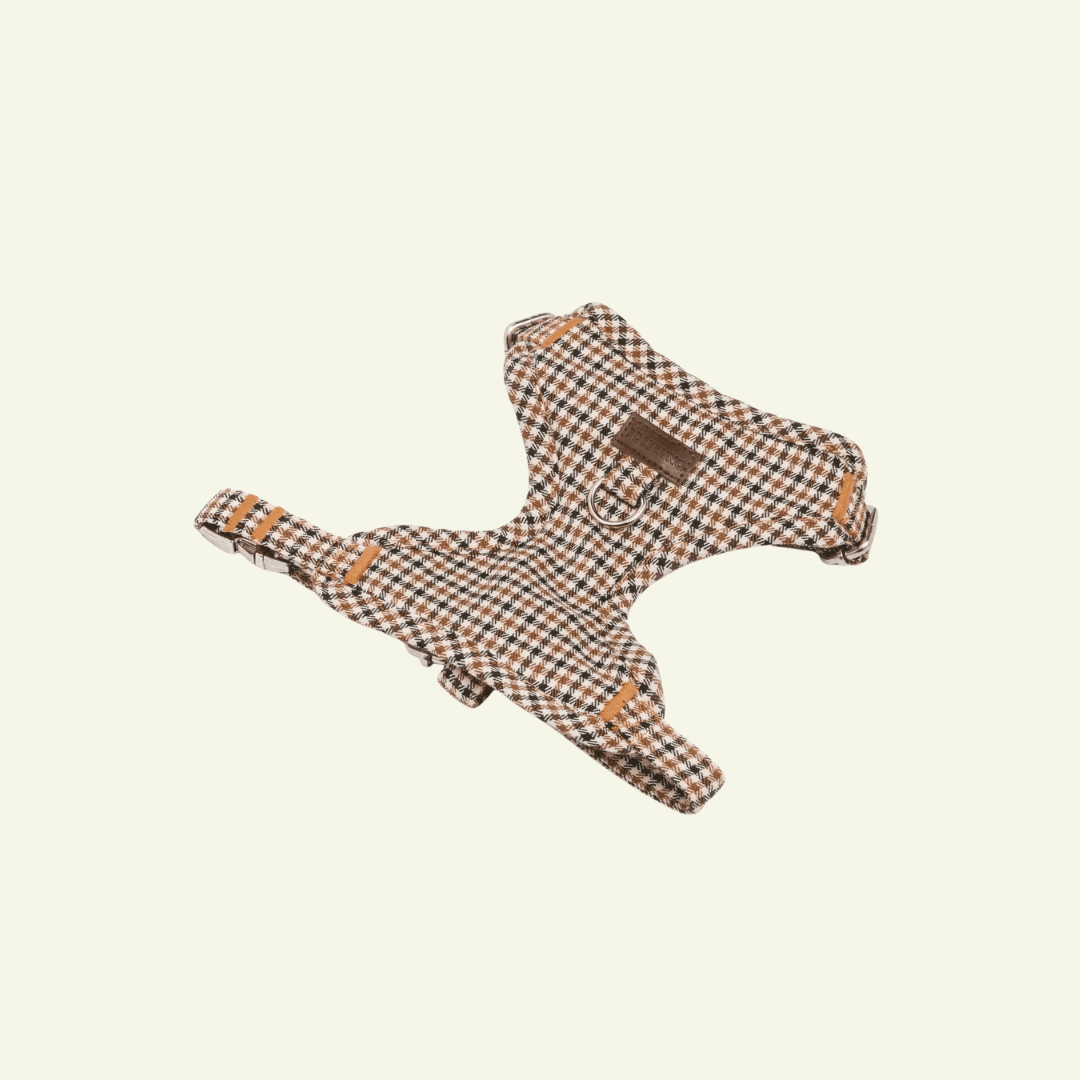 Roméo | Harnais Chest pour chien, motif pied de poule marron, fait main - Jean-Poil