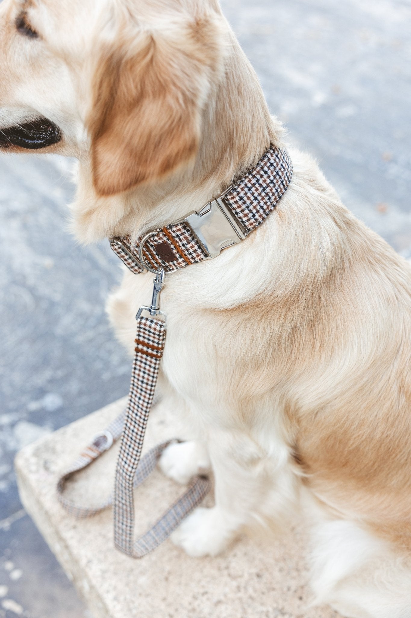 Roméo | Laisse pour chien motif pied de poule, ville & multipositions, fait main - Jean - Poil
