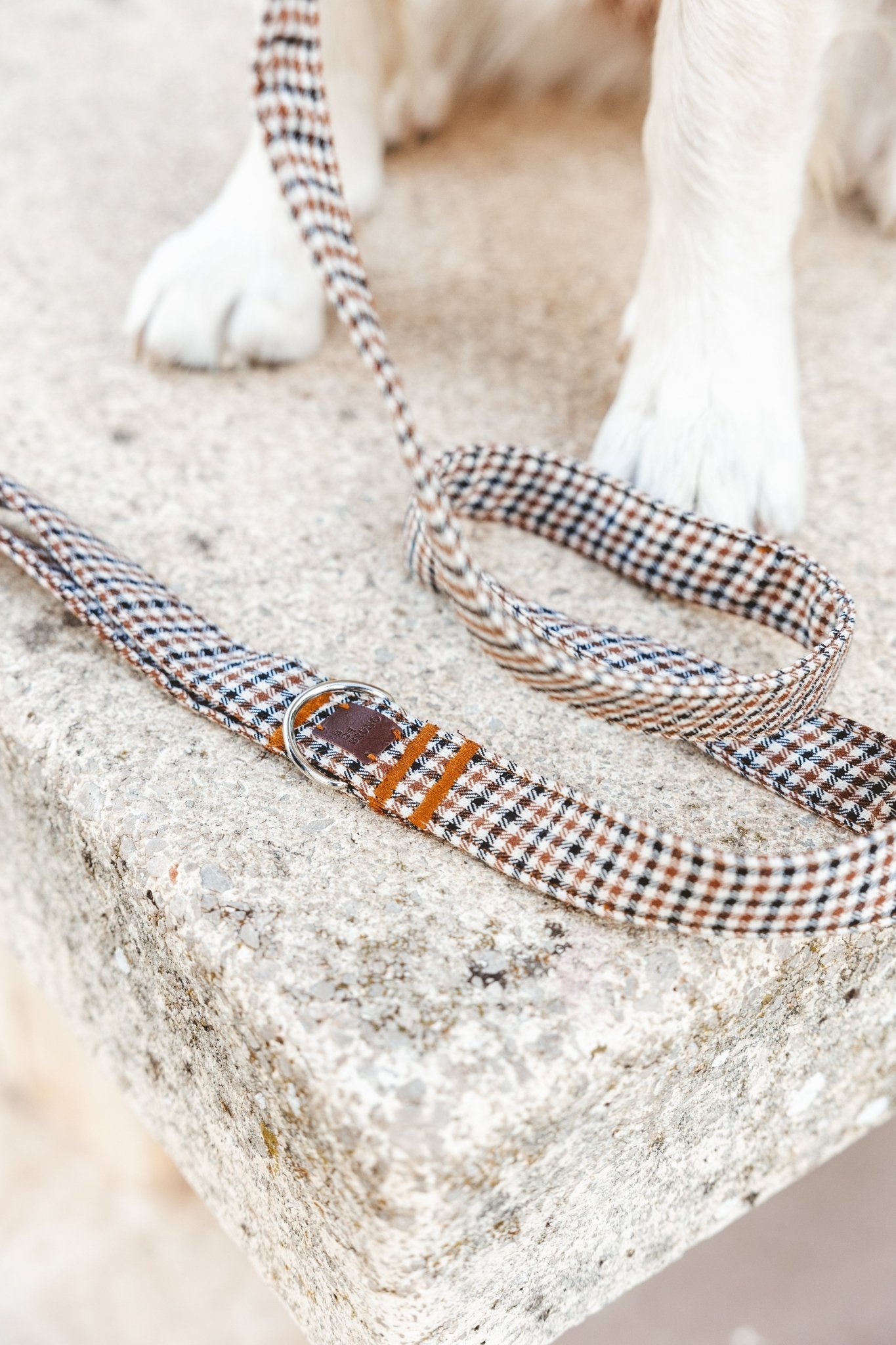 Roméo | Laisse pour chien motif pied de poule, ville & multipositions, fait main - Jean - Poil