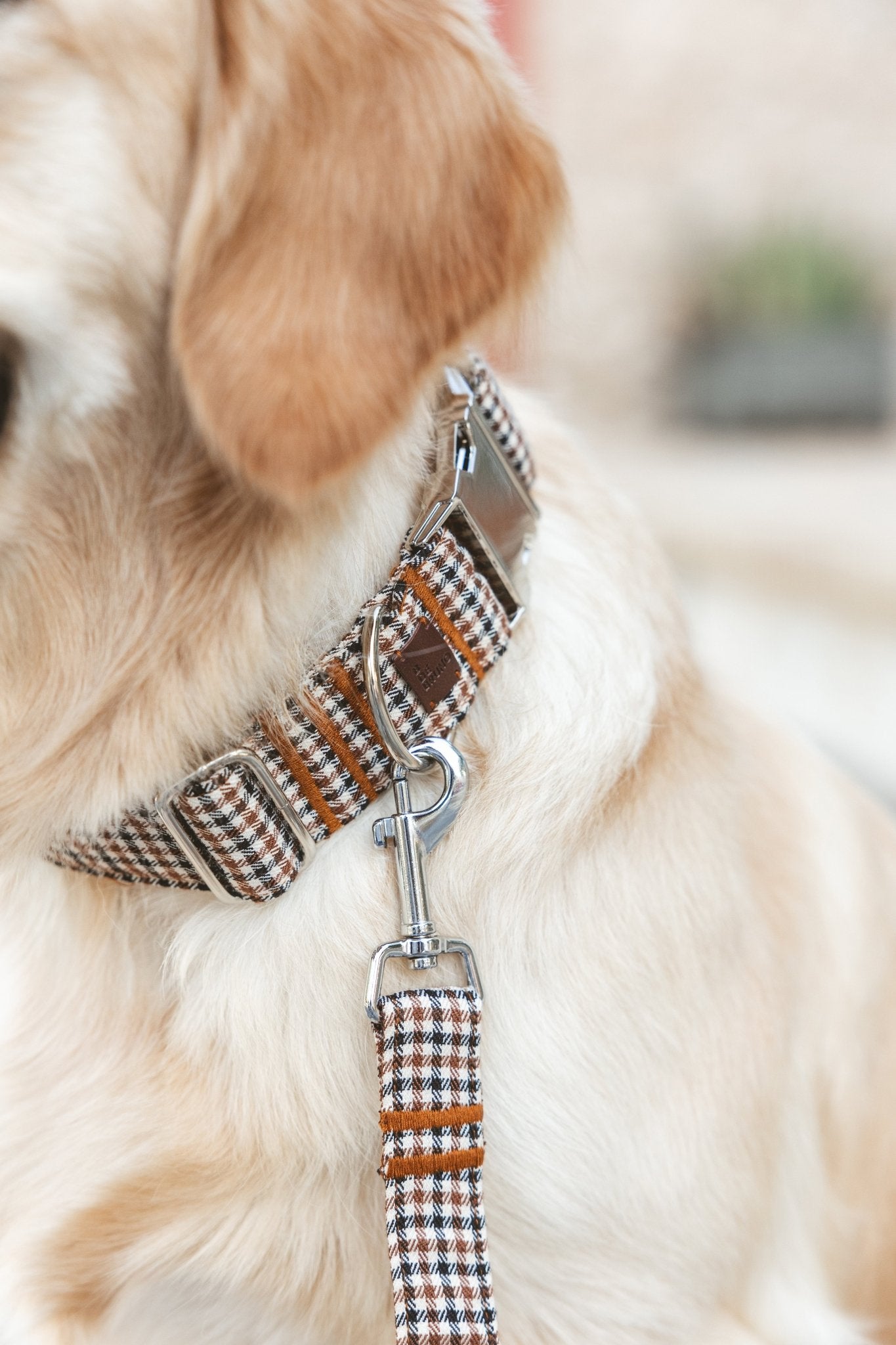 Roméo | Laisse pour chien motif pied de poule, ville & multipositions, fait main - Jean - Poil