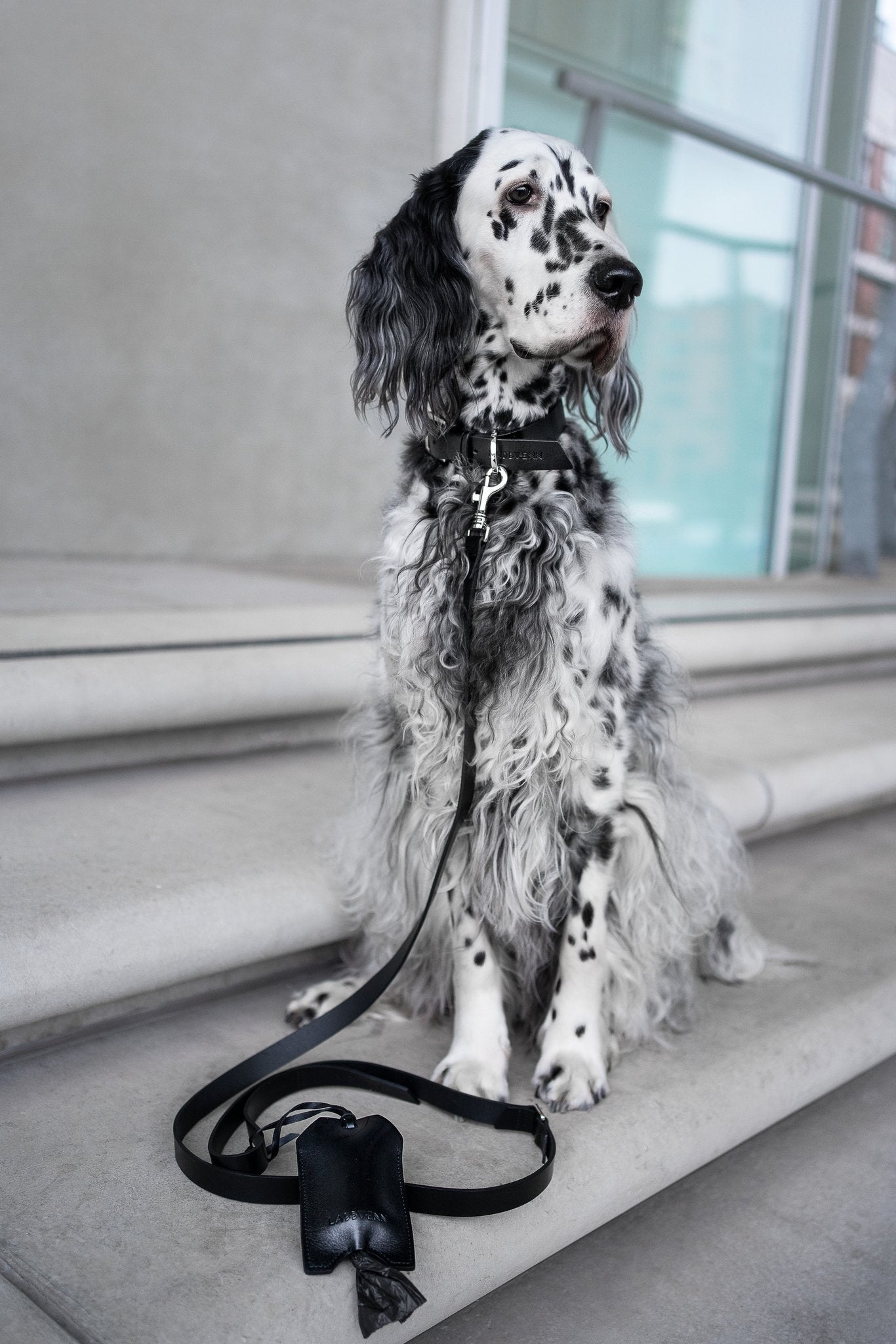 Saku | Porte - sacs Saku en cuir italien Noir - Jean - Poil - 