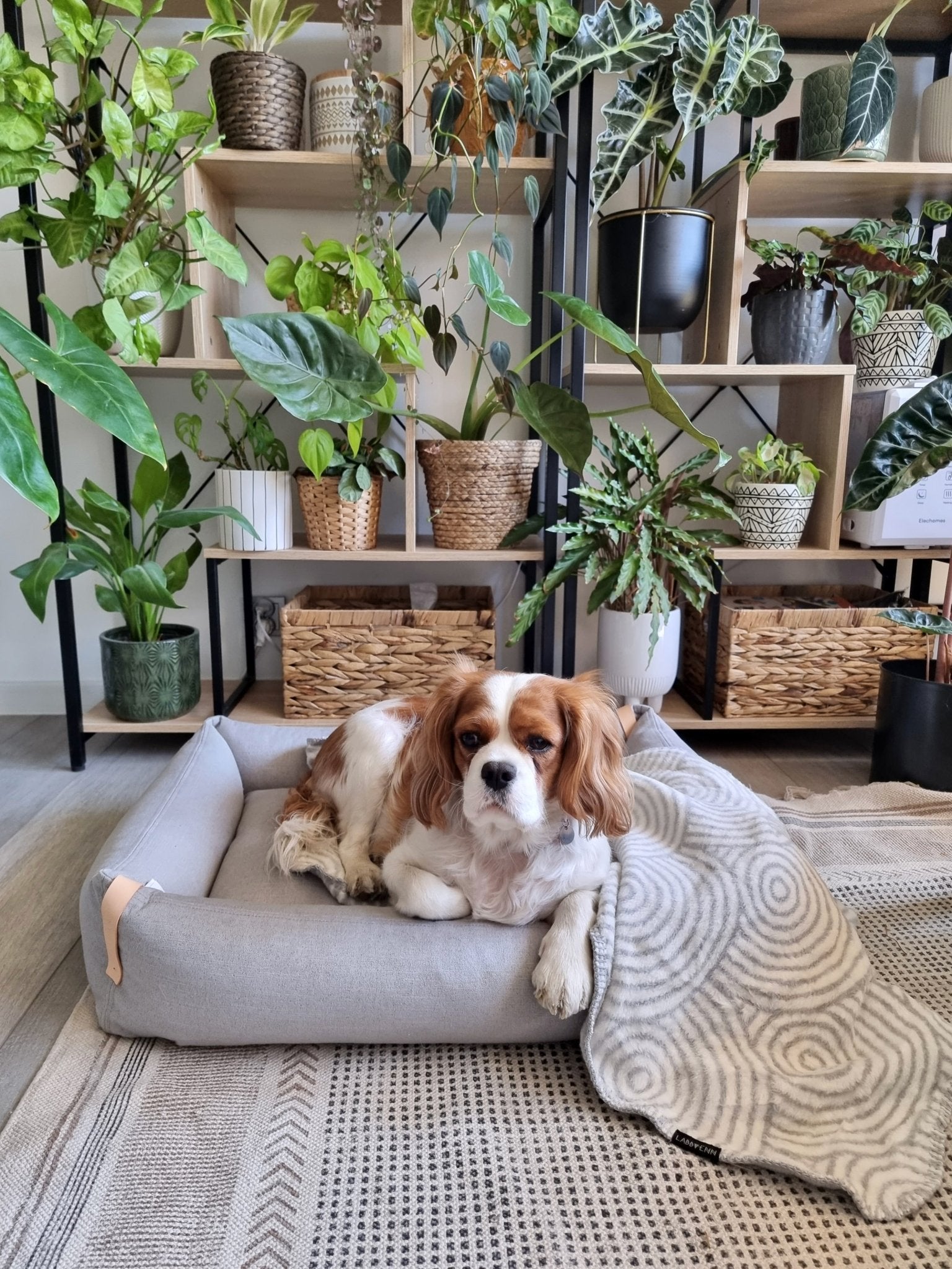 Shapes | Couverture design graphique en coton pour chien et chat - Jean - Poil - Otsa