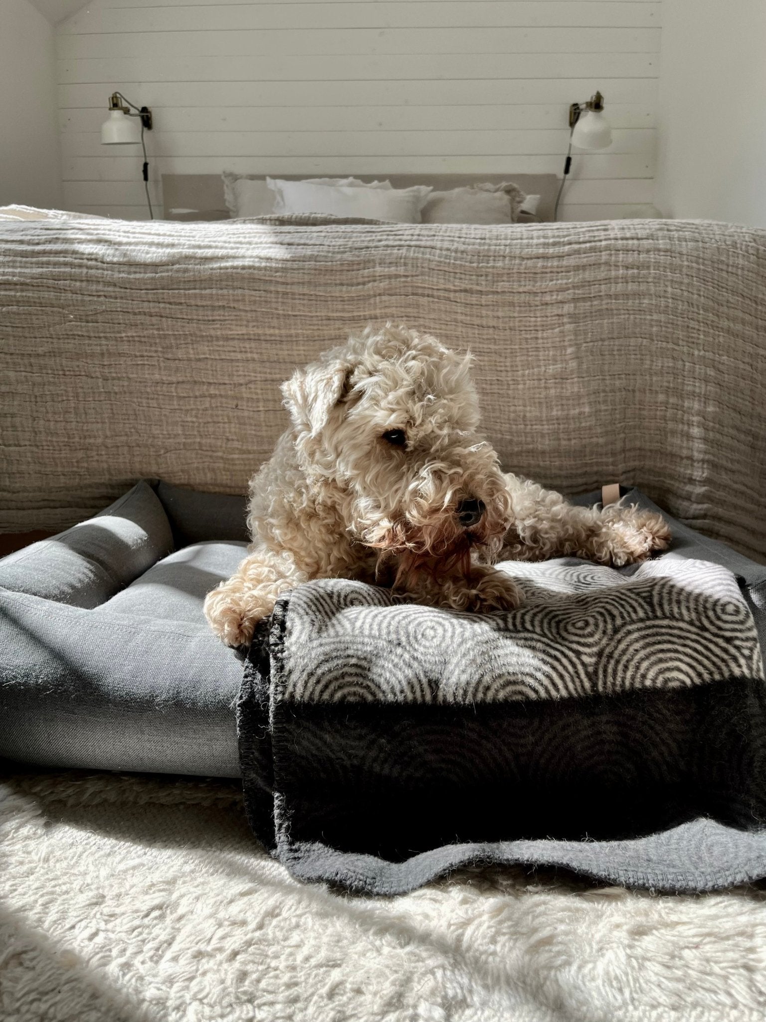 Shapes | Couverture design graphique en coton pour chien et chat - Jean - Poil - Otsa