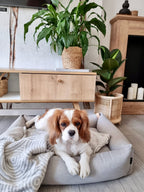Shapes | Couverture design graphique en coton pour chien et chat - Jean - Poil - Otsa