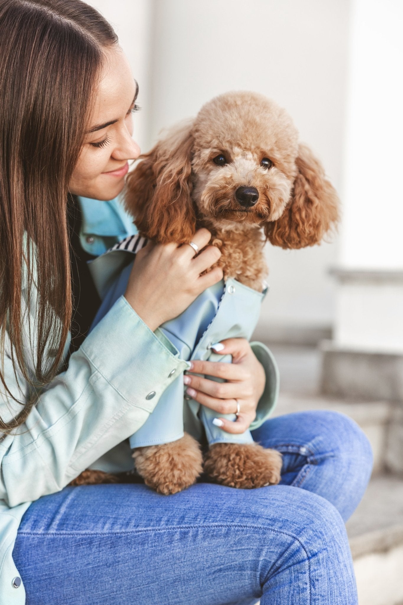 Simon | Imperméable léger pour chien – Protection pluie mi - saison, fait main - Jean - Poil