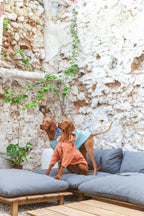 Simon | Imperméable léger pour chien – Protection pluie mi - saison, fait main - Jean - Poil