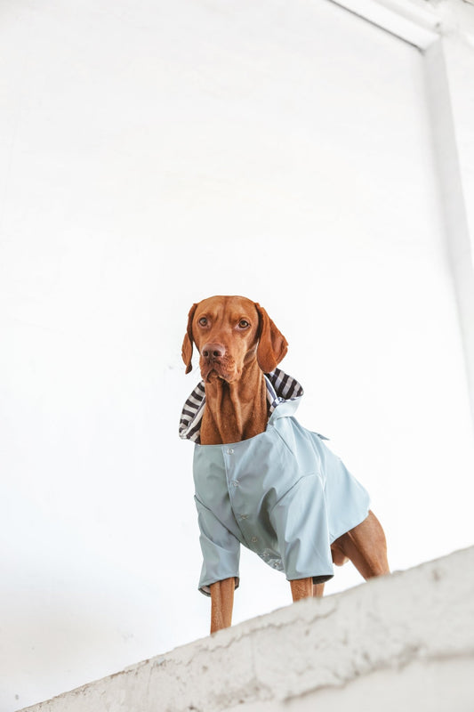 Simon | Imperméable léger pour chien – Protection pluie mi - saison, fait main - Jean - Poil