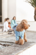 Simon | Imperméable léger pour chien – Protection pluie mi - saison, fait main - Jean - Poil