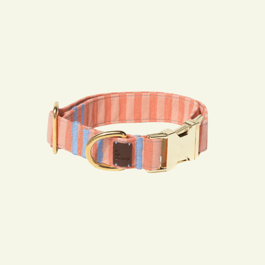 Sintra | Collier pour chien à rayures orange, fait main - Jean-Poil - 2XS