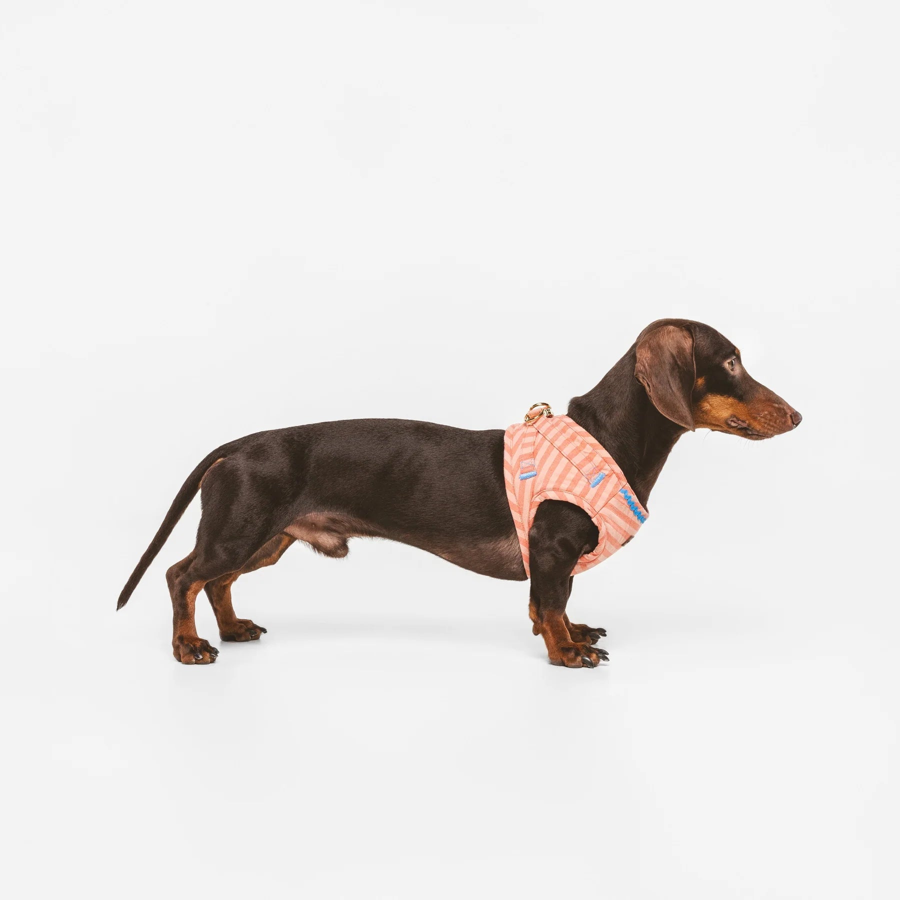 Sintra | Harnais wrap rayé orange, fait main - Jean-Poil - 2XS