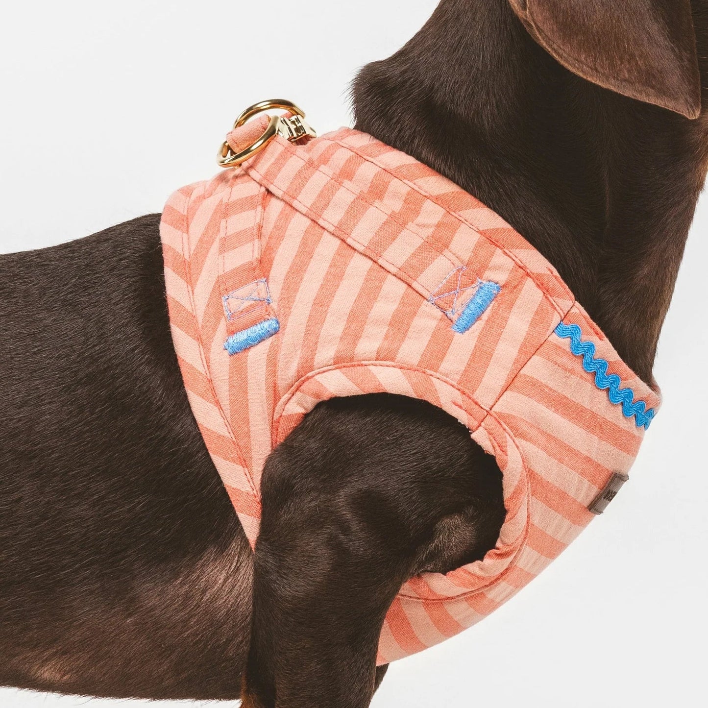 Sintra | Harnais wrap rayé orange, fait main - Jean-Poil - 2XS