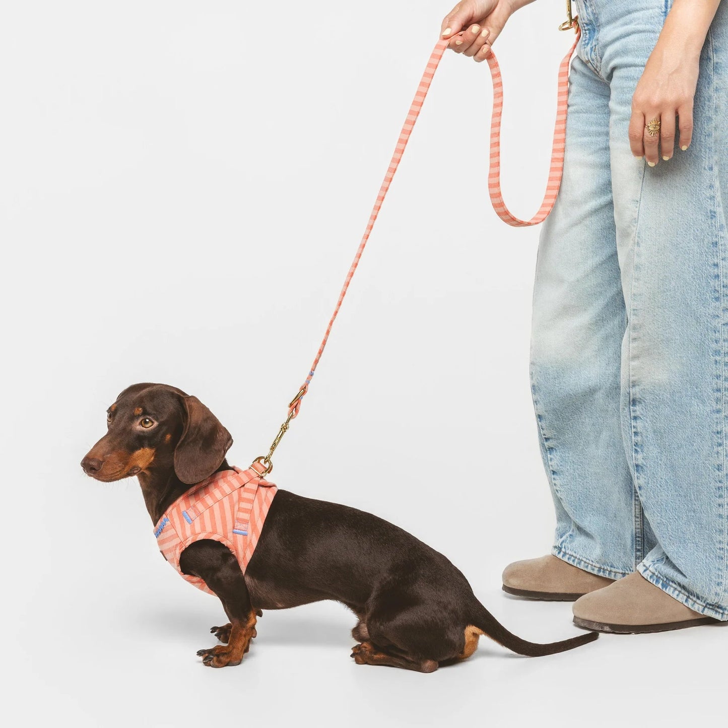 Sintra | Harnais wrap rayé orange, fait main - Jean-Poil - 2XS