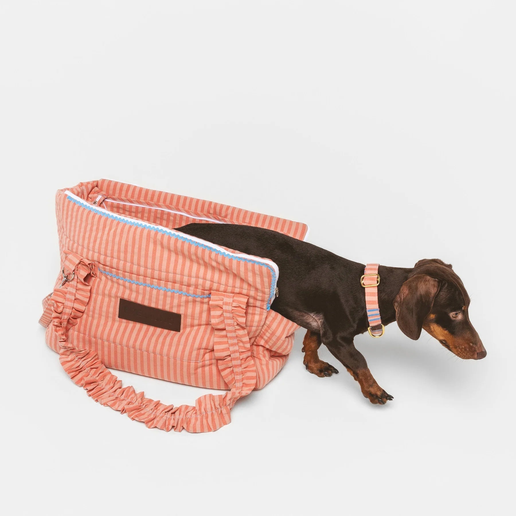 Sintra | Sac de transport pour chien & chat rayé orange, normé transports - Jean-Poil -