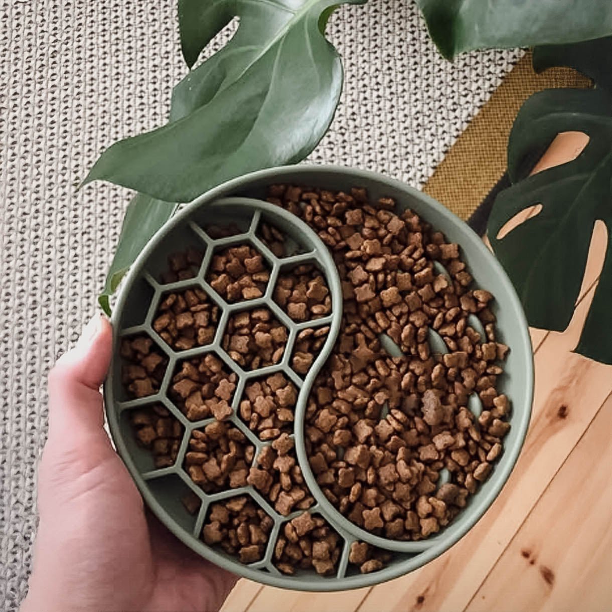Smooth | Gamelle anti - glouton en silicone antidérapante - Jean - Poil - Taupe