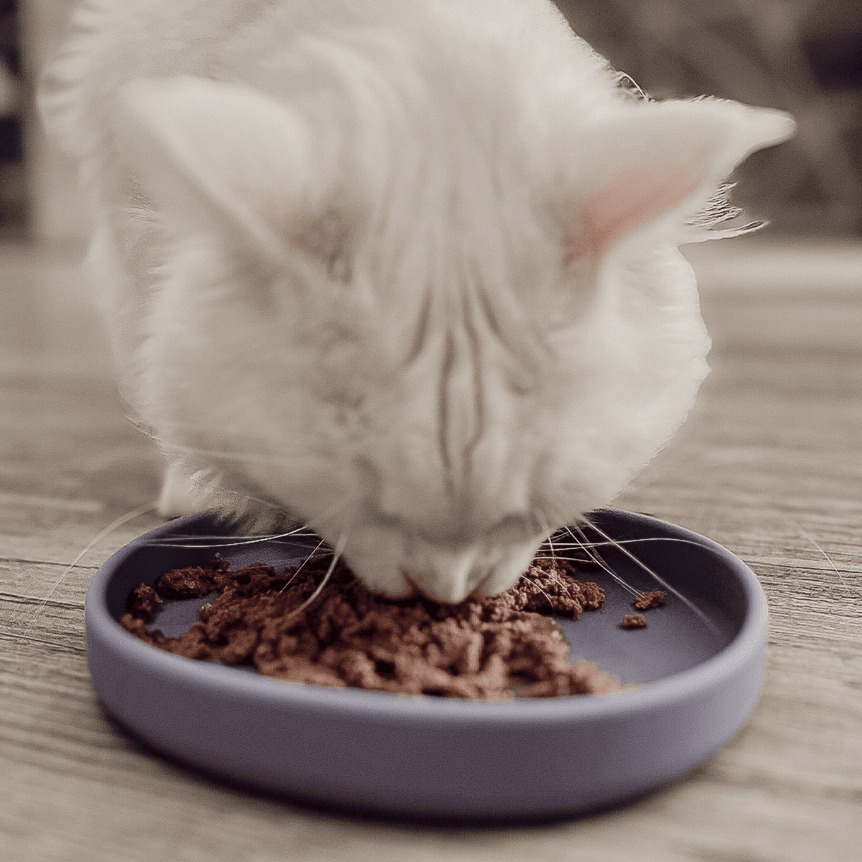 Smooth | Gamelle silicone anti - stress des moustaches pour chat - Jean - Poil - Bleu clair
