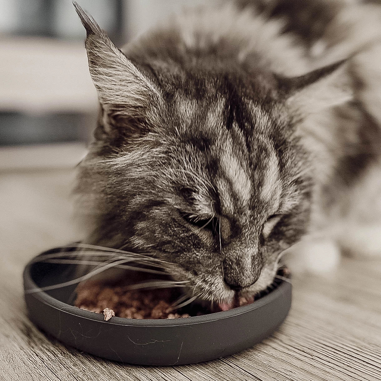 Smooth | Gamelle silicone anti - stress des moustaches pour chat - Jean - Poil - Bleu clair