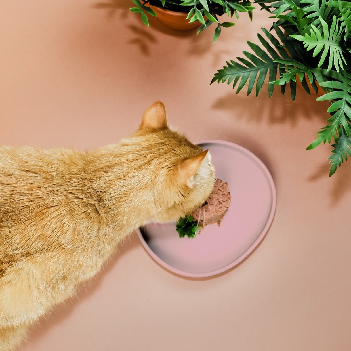 Smooth | Gamelle silicone anti - stress des moustaches pour chat - Jean - Poil - Bleu clair