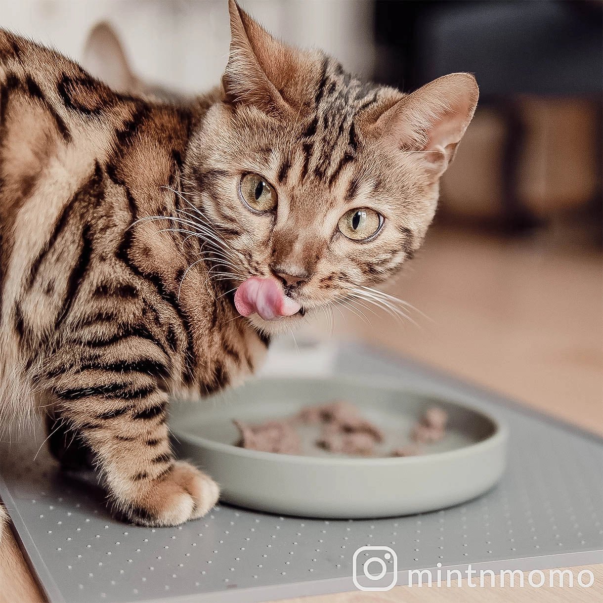 Smooth | Gamelle silicone anti - stress des moustaches pour chat - Jean - Poil - Bleu clair