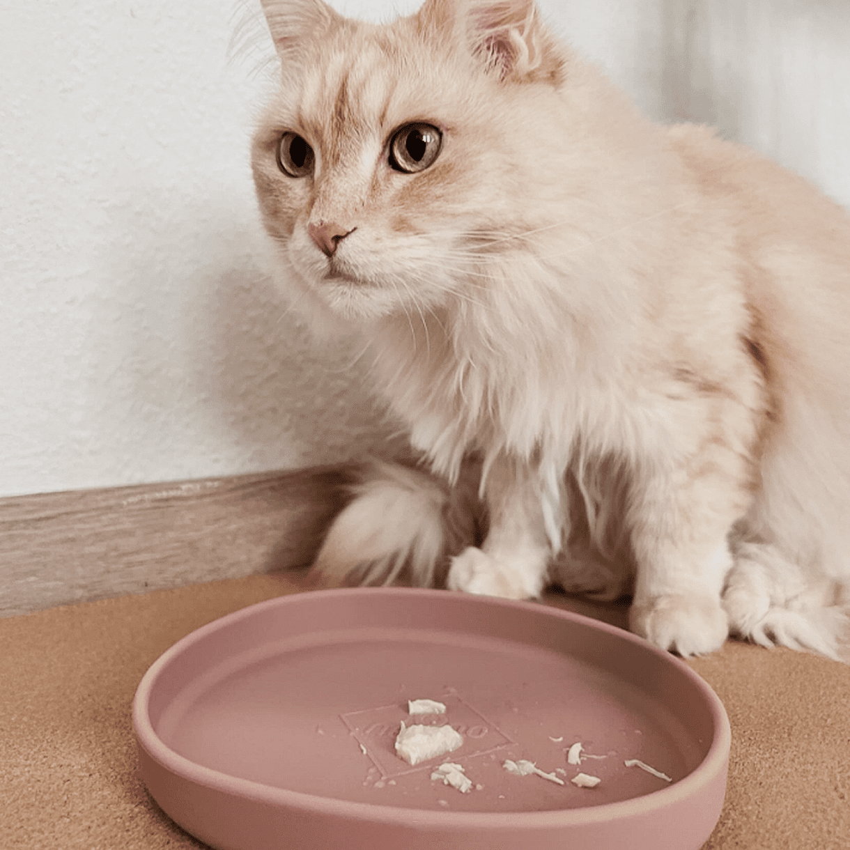 Smooth | Gamelle silicone anti - stress des moustaches pour chat - Jean - Poil - Bleu clair