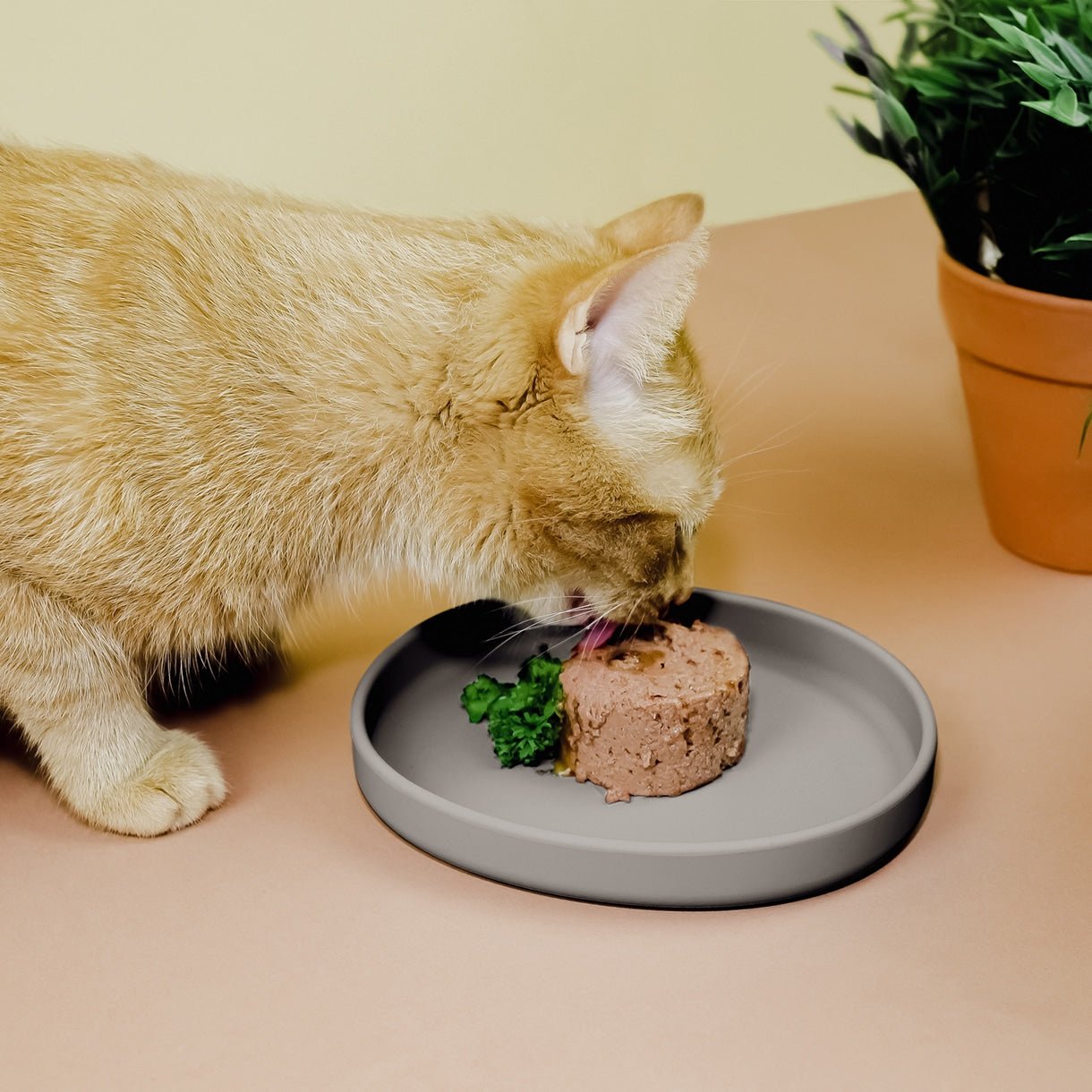Smooth | Gamelle silicone anti - stress des moustaches pour chat - Jean - Poil - Bleu clair